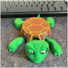 Posavasos De Tortuga Divertido Tortuga